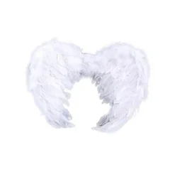 Ala De Plumas Blanca L