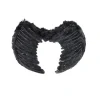 Ala De Plumas Negra L