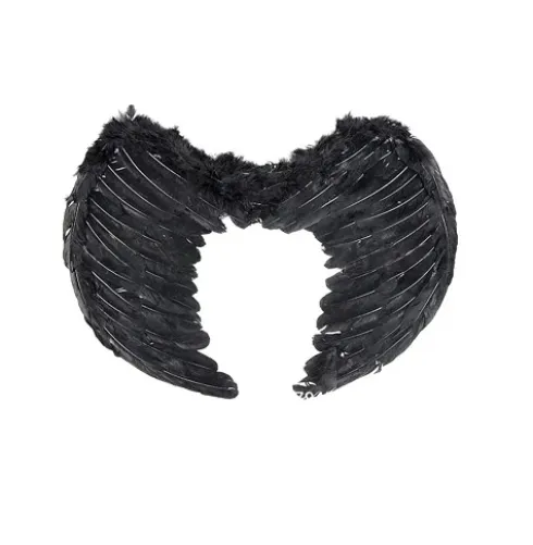 Ala De Plumas Negra L