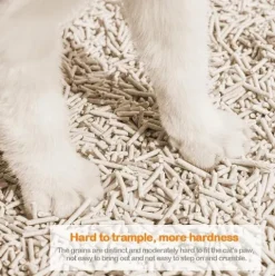 Arena Para Gato de Tofu Vegetal Té Verde 6L