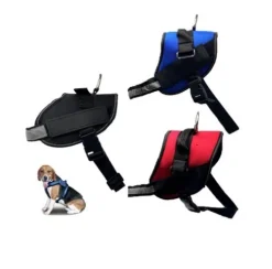 Arnés Deporte Para Perro 30MMx58/74CM