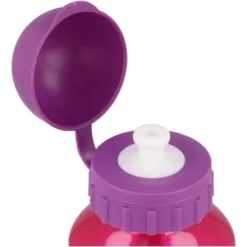 Botella Aluminio 400 ML Disney Princess