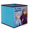Contenedor Cubo Frozen