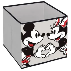 Contenedor Cubo Minnie y Mickey
