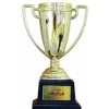 Copa Trofeo Mejor Abuela