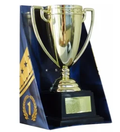Copa Trofeo Mejor Abuelo