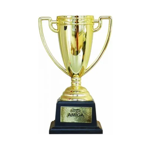 Copa Trofeo Mejor Amiga