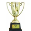 Copa Trofeo Mejor Tía