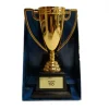 Copa Trofeo Mejor Tío