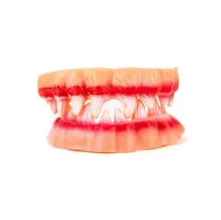 Dentadura Doble Con Sangre