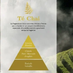 Esencia Humidificador Zen 50 ml Té Chai