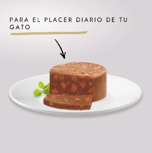 Gourmet Gold Terrine Salmon 85g