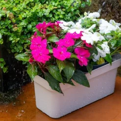 Jardinera Plástico Rectangular 50cm