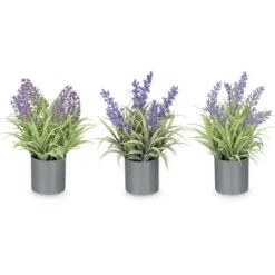 Maceta Cilíndrica Lavanda Surt