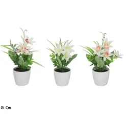 Maceta Cymbidiums 21cm Surt