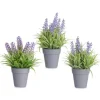 Maceta Lavanda Surt