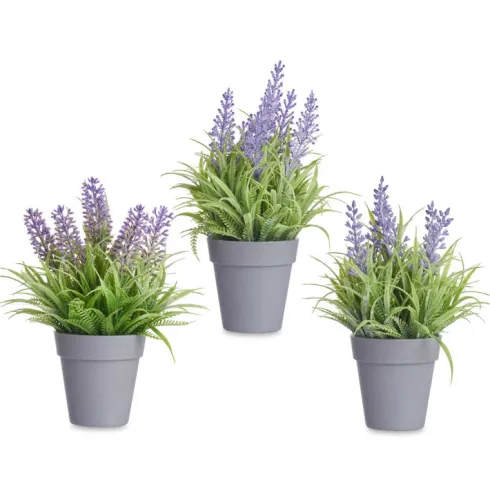 Maceta Lavanda Surt