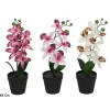 Maceta Orquídea 32cm Surt