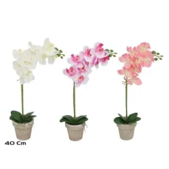 Maceta Orquídea 40cm Surt