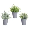 Maceta Planta Verde Surt