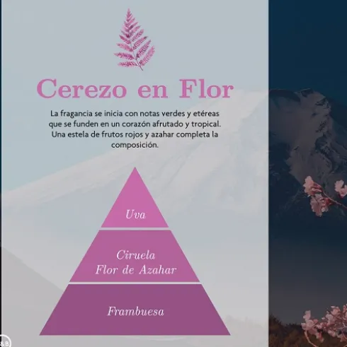 Mikado Zen 40ml Cerezo en Flor