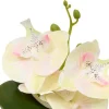 Orquídea Mick Maceta Cemento 25cm