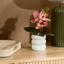 Orquídea Mick Maceta Cemento 25cm