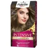 Palette Intensive Tinte 6.1 Rubio Oscuro Ceniza