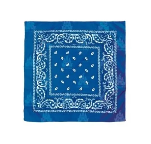 Pañuelo Paisley Azul Oscuro