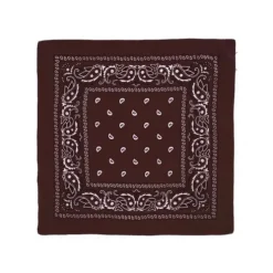 Pañuelo Paisley Café