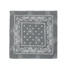 Pañuelo Paisley Gris