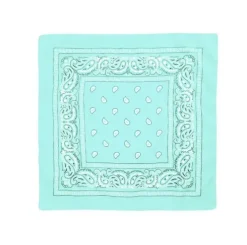 Pañuelo Paisley Menta