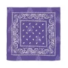 Pañuelo Paisley Morado