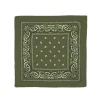 Pañuelo Paisley Oliva