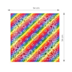 Pañuelo Paisley Rainbow