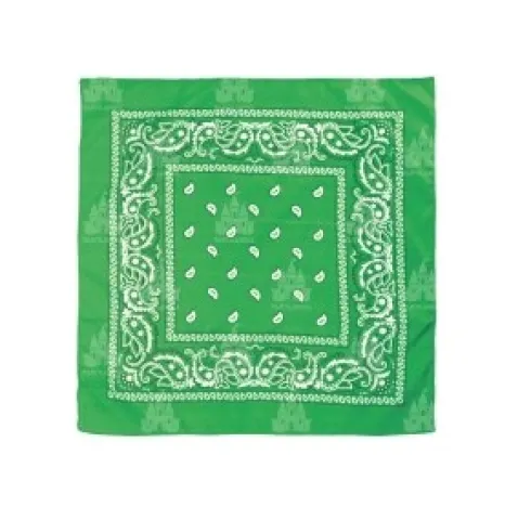 Pañuelo Paisley Verde