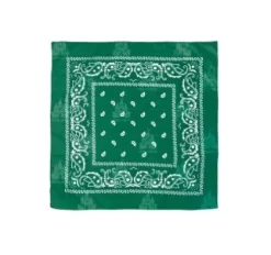 Pañuelo Paisley Verde Hierba