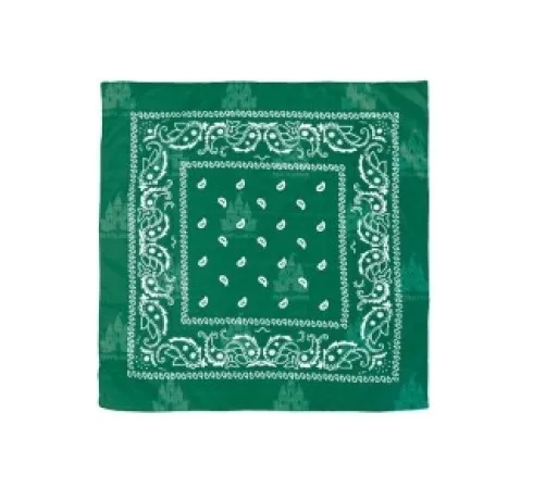 Pañuelo Paisley Verde Hierba