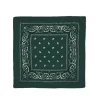 Pañuelo Paisley Verde Osc
