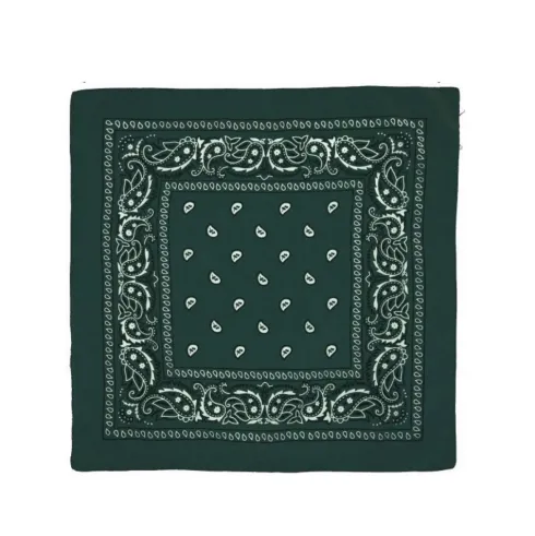 Pañuelo Paisley Verde Osc