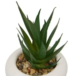Planta Suculenta Maceta Cemento Stefi 10cm
