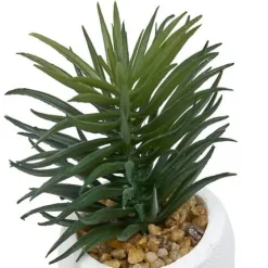 Planta Suculenta Maceta Cemento Teri 13cm