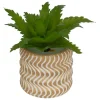 Planta Suculenta Maceta Cemento Ubi 7cm