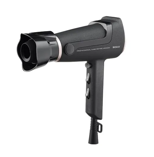 Secador de Pelo Profesional 2000W
