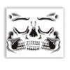 Tatuaje Cara Esqueleto 30x14cm