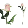 Vara Capullo Clasic 65cm (Rosa)