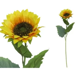 Vara Girasol D13cm 60cm