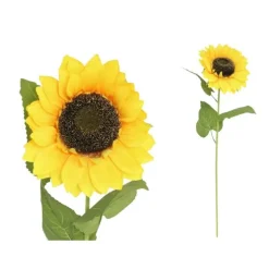 Vara Girasol D17cm 69cm