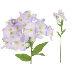 Vara Phlox 64cm (Violeta)