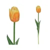 Vara Tulipán R/Touch 45cm (Naranja)